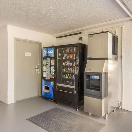 Quality Inn Bradenton - Sarasota North Bagian luar foto